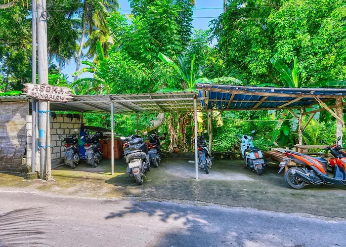Asoka Ped